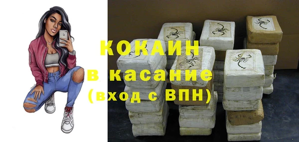 сатива Балахна