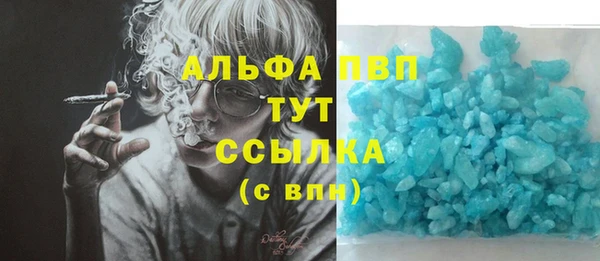 сатива Балахна