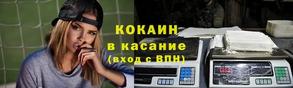 сатива Балахна
