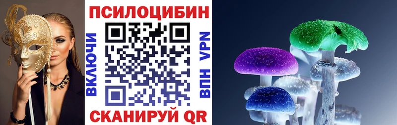 где купить   Чусовой  Галлюциногенные грибы GOLDEN TEACHER 